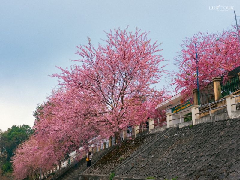 ha-giang-mua-hoa-dao.jpg (113 KB)