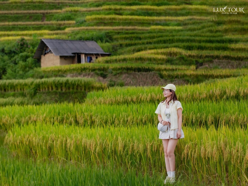 ha-giang-mua-lua-chin-thang-may-2.jpg (404 KB)