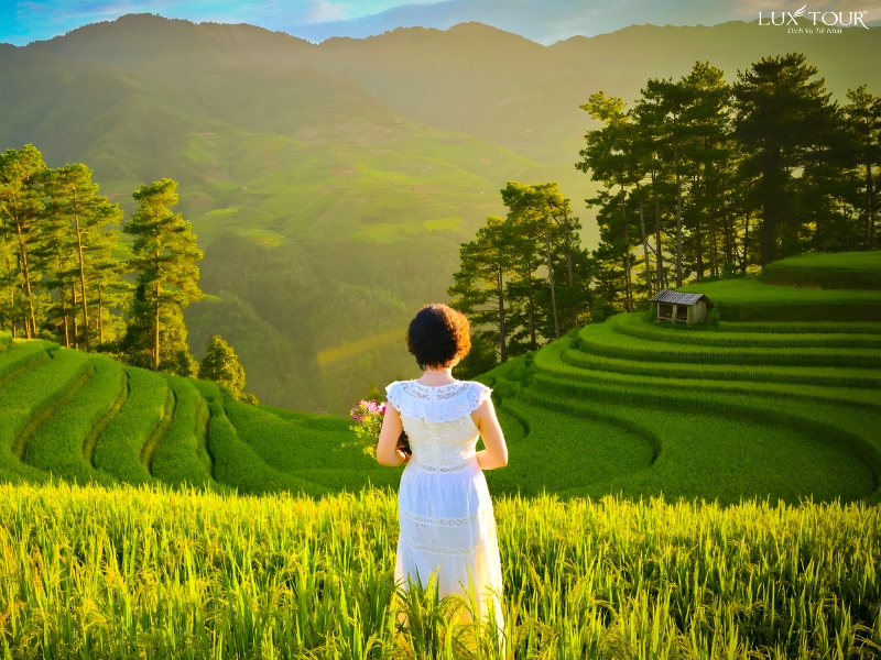 ha-giang-mua-lua-chin-thang-may-3.jpg (484 KB)