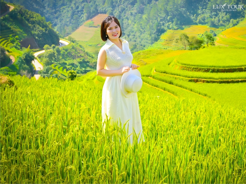 ha-giang-mua-lua-chin-thang-may-5.jpg (551 KB)