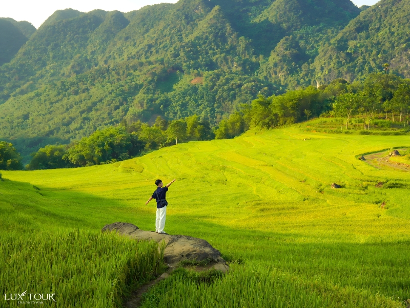 ha-giang-mua-lua-chin-thang-may-7.jpg (509 KB)