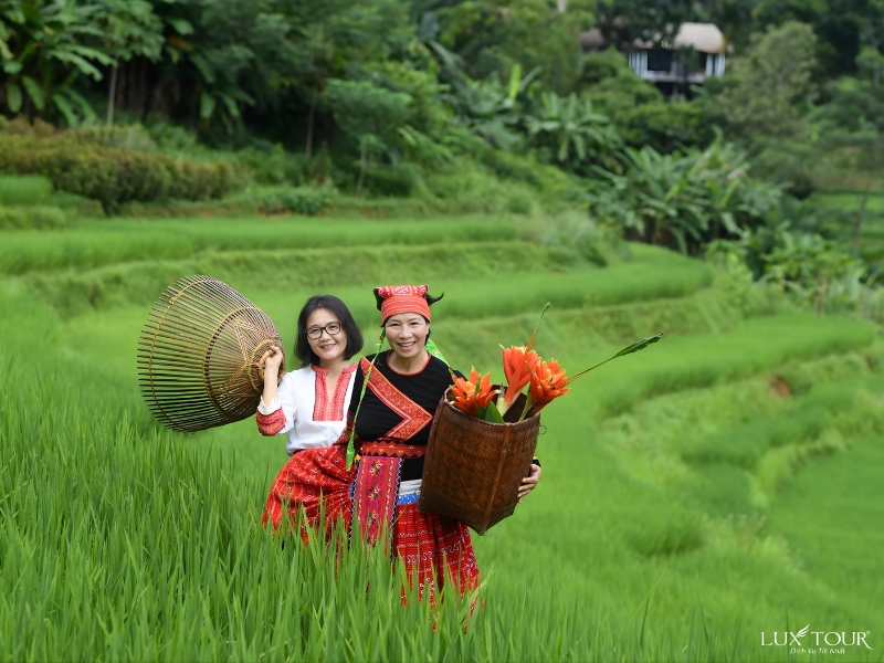 mua-hoa-o-ha-giang-12.jpg (347 KB)