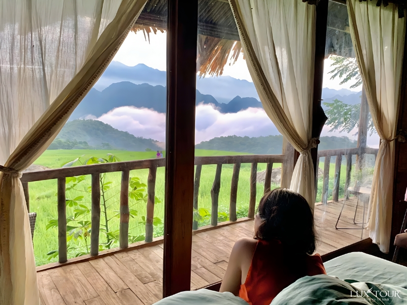 mua-hoa-o-ha-giang-14.jpg (390 KB)