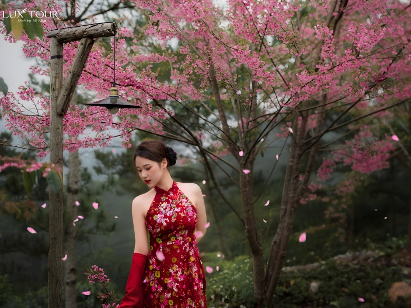 hoang-su-phi-ha-giang-1.jpg (423 KB)