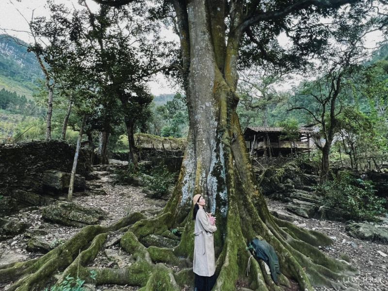 lang-sao-ha-5.jpg (163 KB)