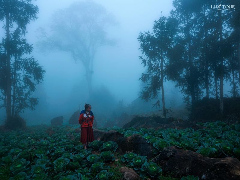 lang-sao-ha-7.jpg (72 KB)