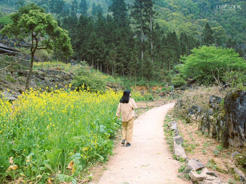 lang-sao-ha-mua-he.jpg (150 KB)