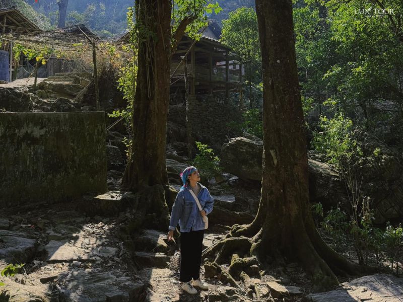 lang-sao-ha-mua-thu.jpg (119 KB)