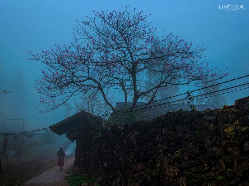 lang-sao-ha-mua-xuan.jpg (91 KB)