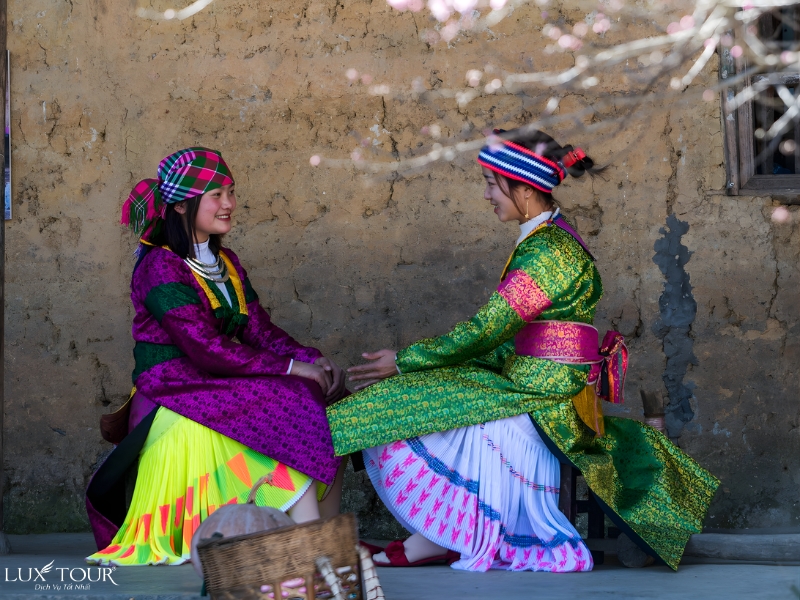 lang-then-pa-11.jpg (463 KB)