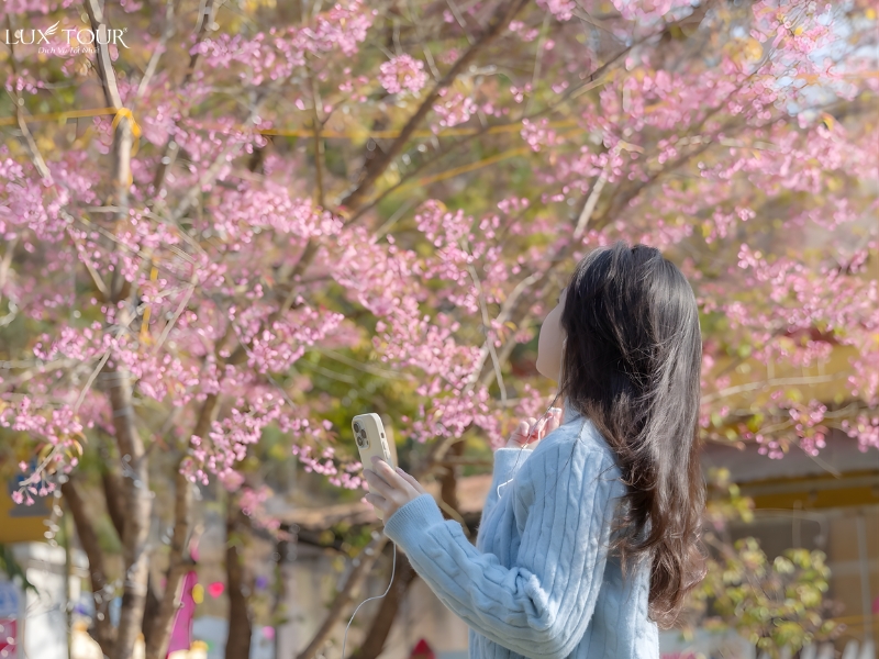 lang-then-pa-3.jpg (385 KB)