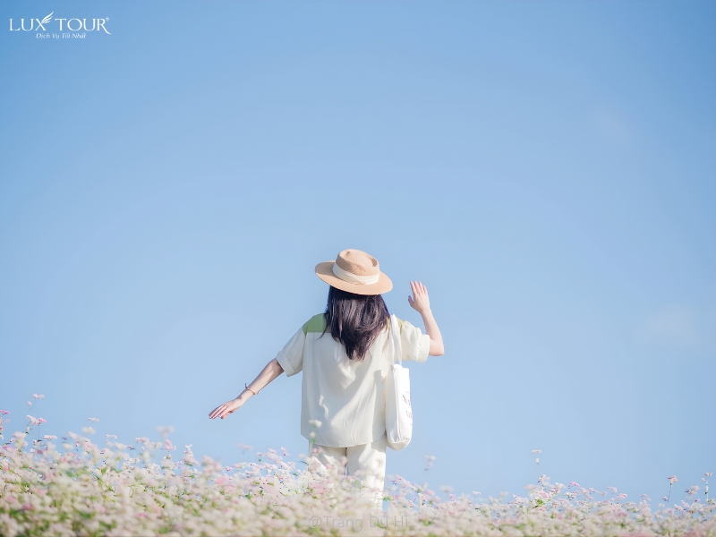 lang-then-pa-4.jpg (196 KB)