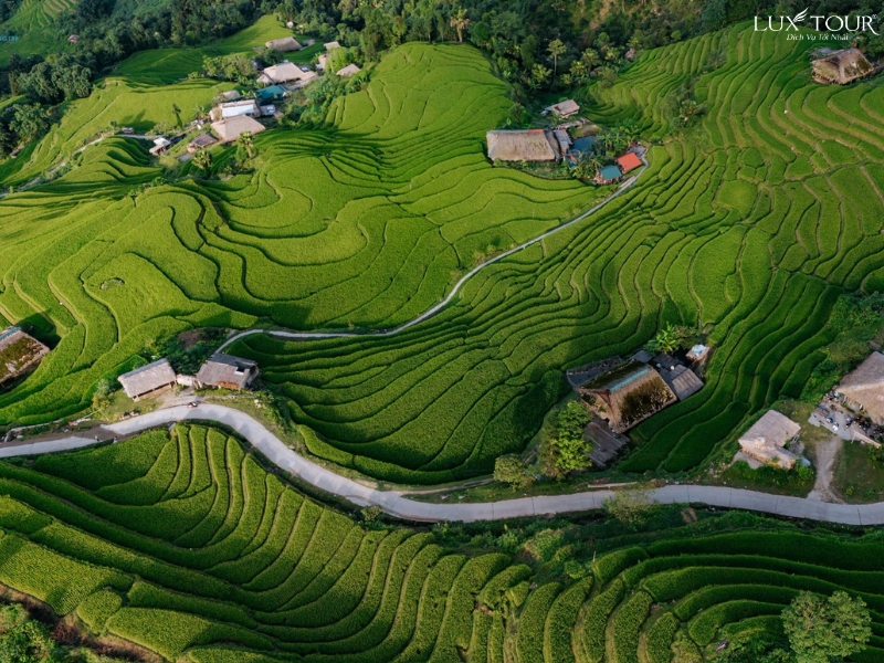 lang-then-pa-5.jpg (515 KB)