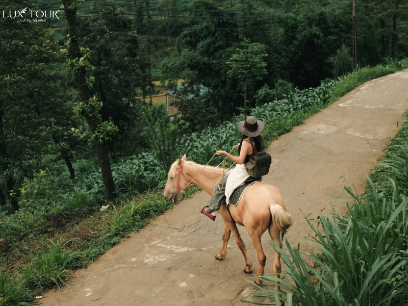 lang-then-pa-8.jpg (428 KB)