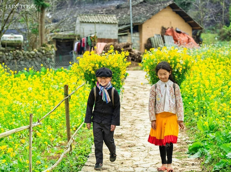 mua-hoa-cai-ha-giang-3.jpg (162 KB)