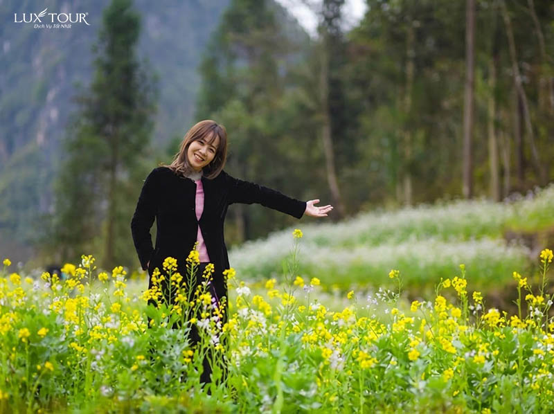 mua-hoa-cai-ha-giang-4.jpg (102 KB)