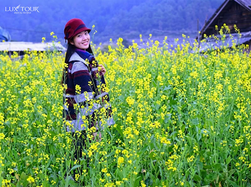 mua-hoa-cai-ha-giang-6.jpg (180 KB)