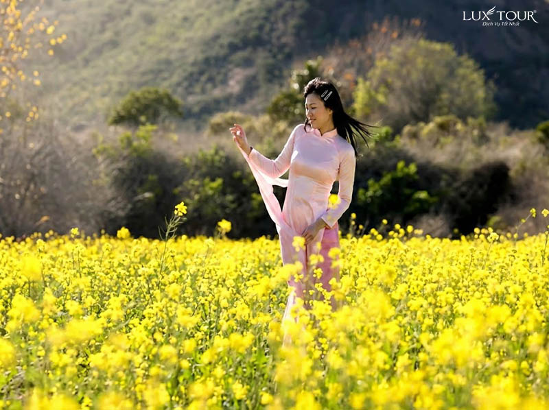 mua-hoa-cai-ha-giang-7.jpg (119 KB)