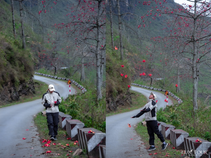 mua-hoa-gao-ha-giang-4.jpg (441 KB)