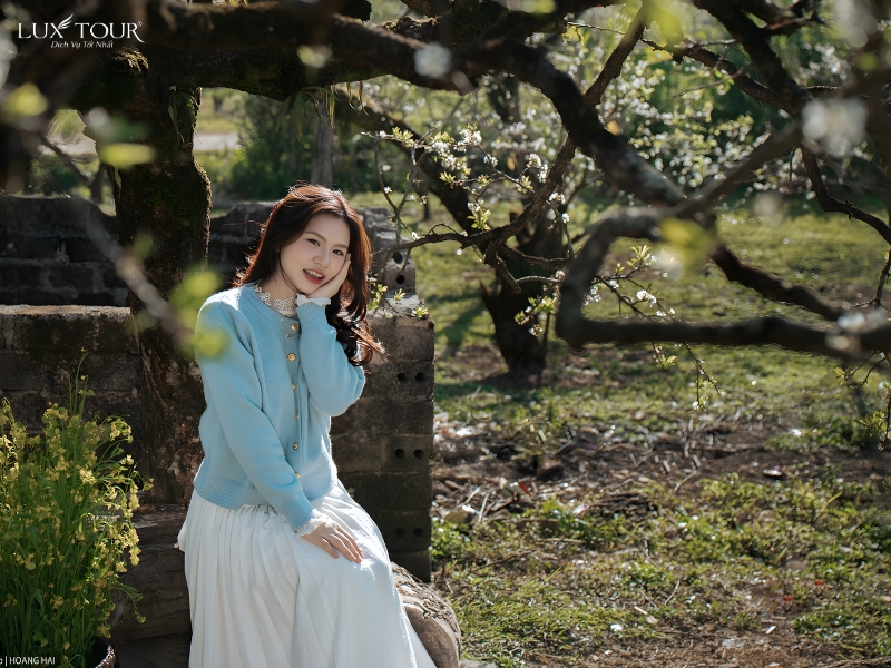 mua-hoa-man-ha-giang-2.jpg (474 KB)