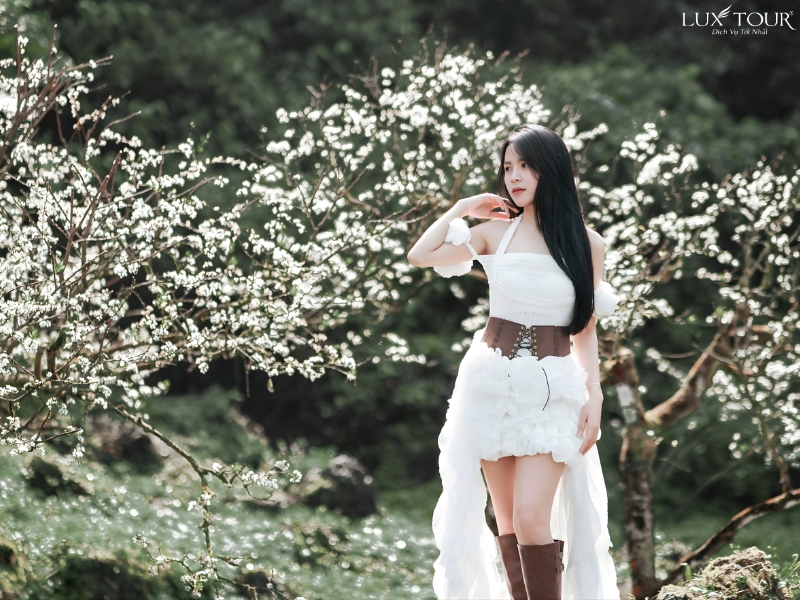 mua-hoa-man-ha-giang-4.jpg (448 KB)