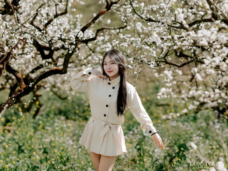 mua-hoa-man-ha-giang-5.jpg (434 KB)