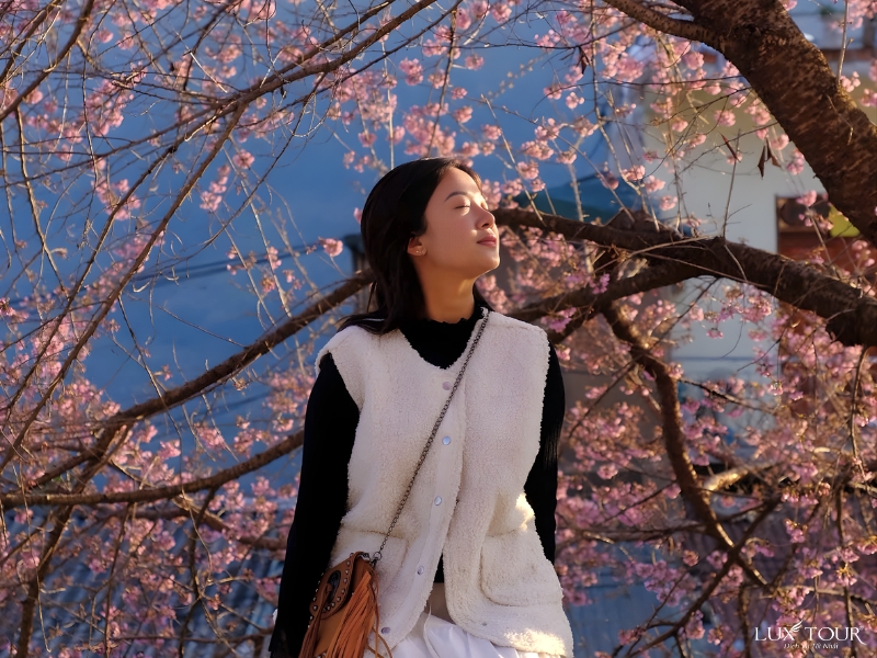 mua-hoa-o-ha-giang-10.jpg (470 KB)