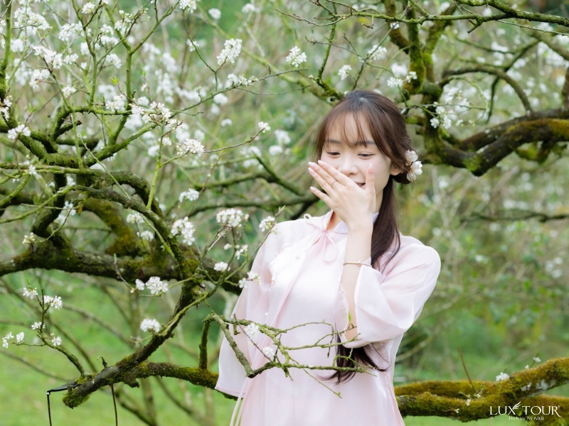 mua-hoa-o-ha-giang-12.jpg (396 KB)