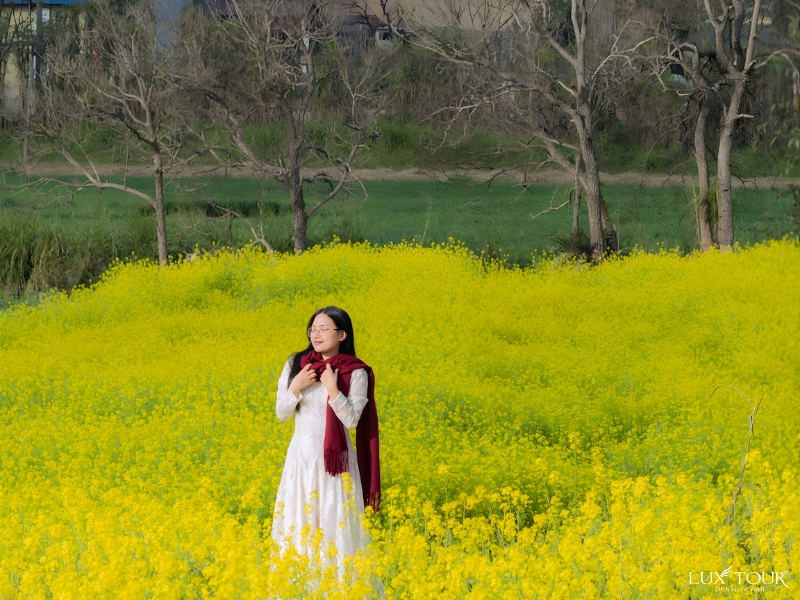 mua-hoa-o-ha-giang-4.jpg (488 KB)