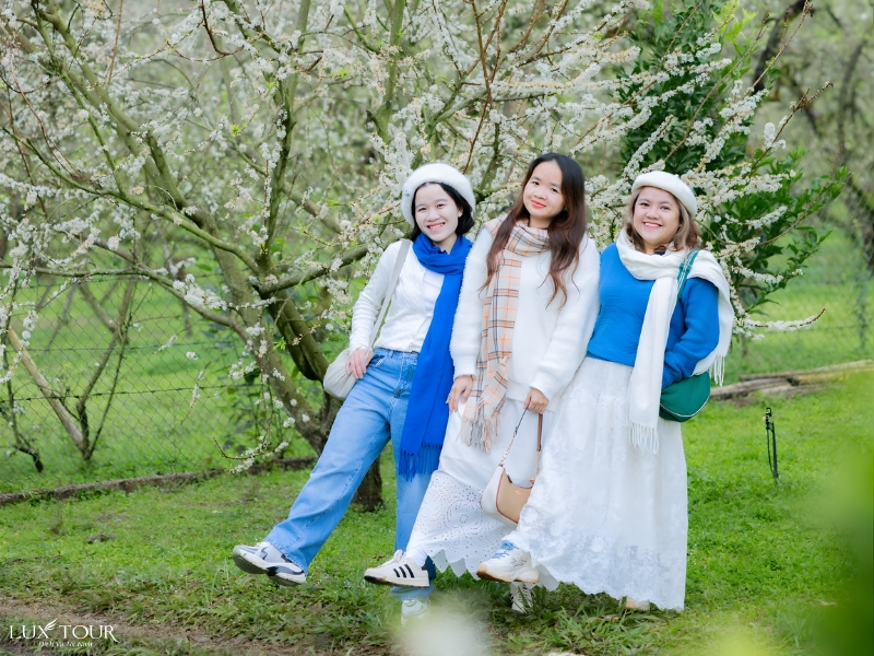 mua-hoa-o-ha-giang-7.jpg (508 KB)