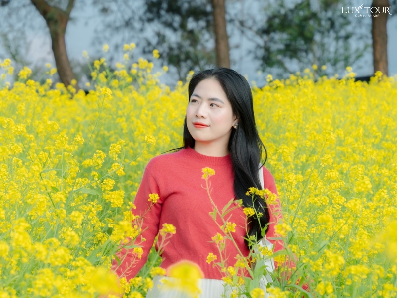 mua-hoa-o-ha-giang-8.jpg (394 KB)