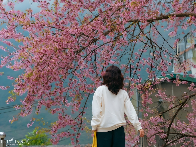 pho-co-dong-van-ha-giang-11.jpg (524 KB)