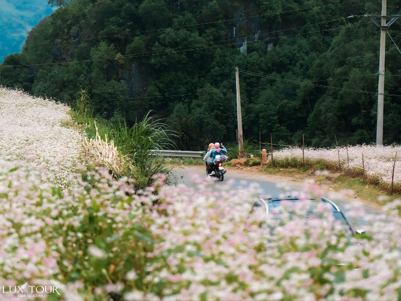 pho-co-dong-van-ha-giang-4.jpg (447 KB)