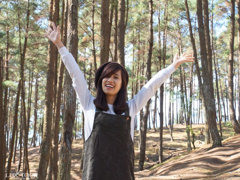 rung-thong-yen-minh-ha-giang-5.jpg (220 KB)