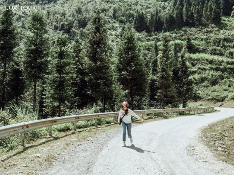 rung-thong-yen-minh-ha-giang-6.jpg (228 KB)