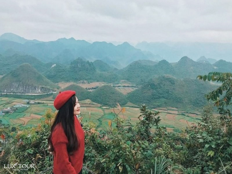 rung-thong-yen-minh-ha-giang-7.jpg (129 KB)