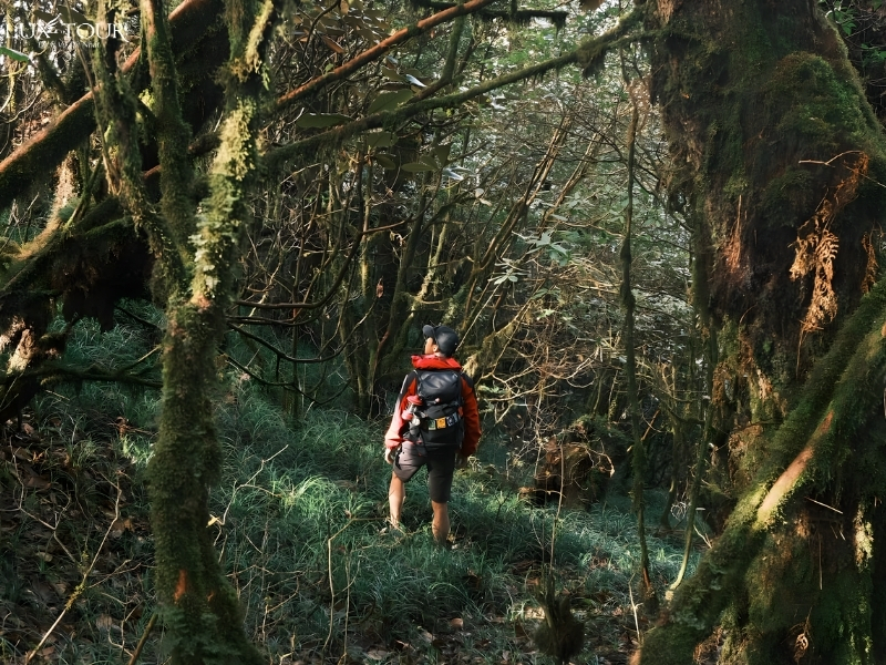 tay-con-linh-ha-giang-4.jpg (683 KB)