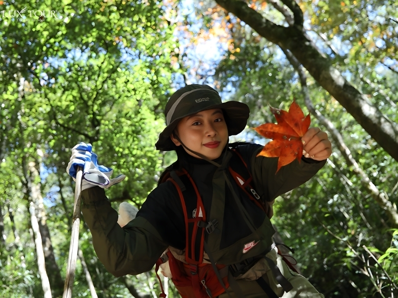 tay-con-linh-ha-giang-7.jpg (585 KB)