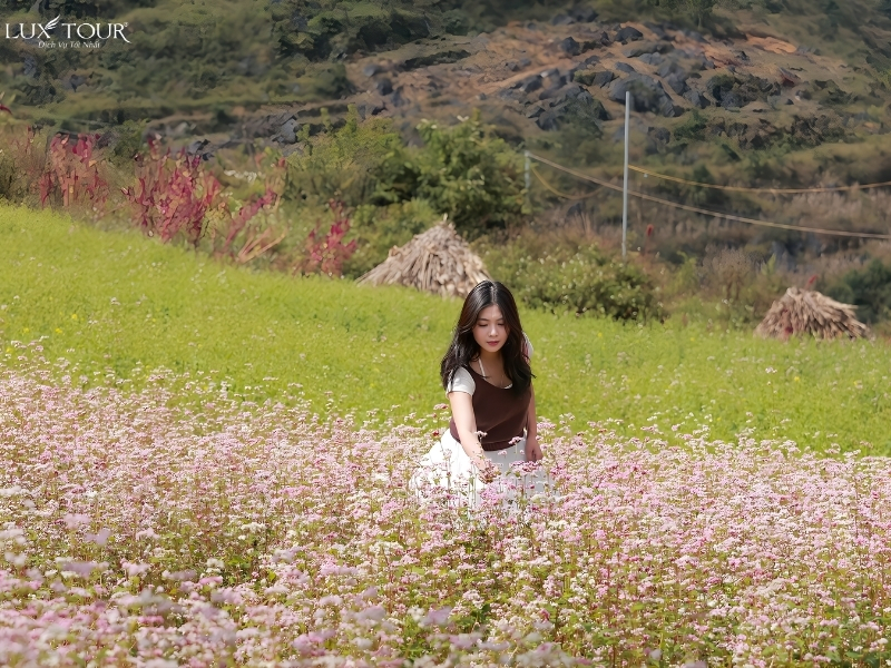 Thung lũng Sủng Là ở đâu? Kinh nghiệm du lịch chi tiết