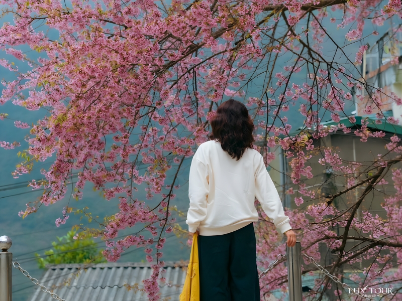 tour-ha-giang-cao-bang-6-ngay-5-dem-9.jpg (499 KB)