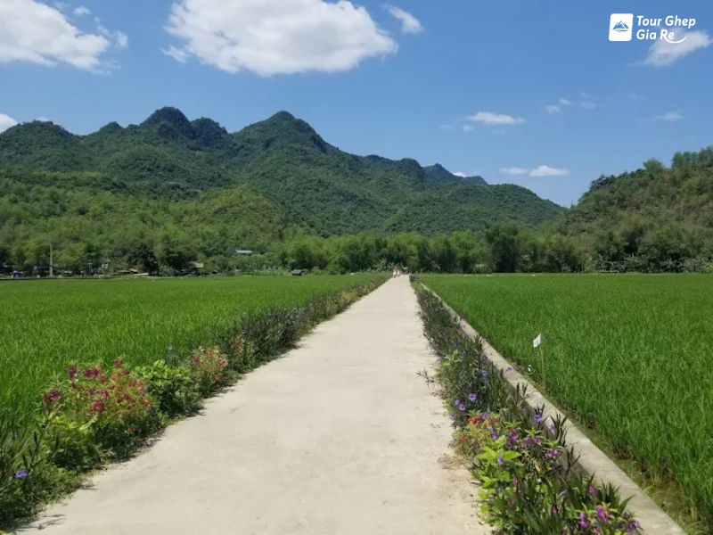 8-ban-o-mai-chau-9.jpg (83 KB)