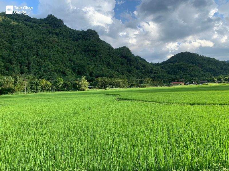 ban-van-mai-chau-5.jpg (132 KB)