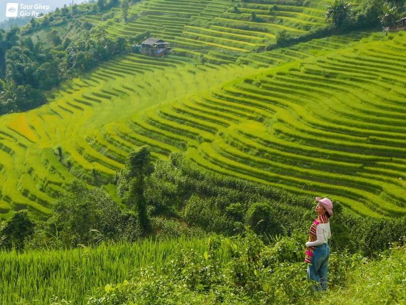 cot-co-mai-chau-3.jpg (542 KB)