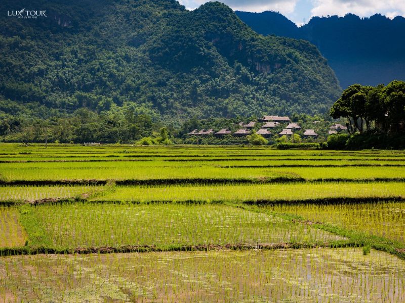du-lich-mai-chau-thang-2-ban-lac.jpg (135 KB)