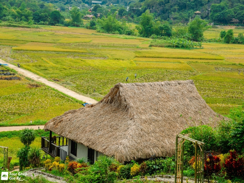 du-lich-mai-chau-tu-tuc-1.jpg (573 KB)