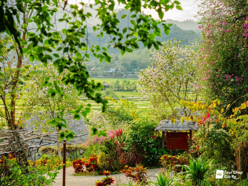 du-lich-mai-chau-tu-tuc-10.jpg (621 KB)