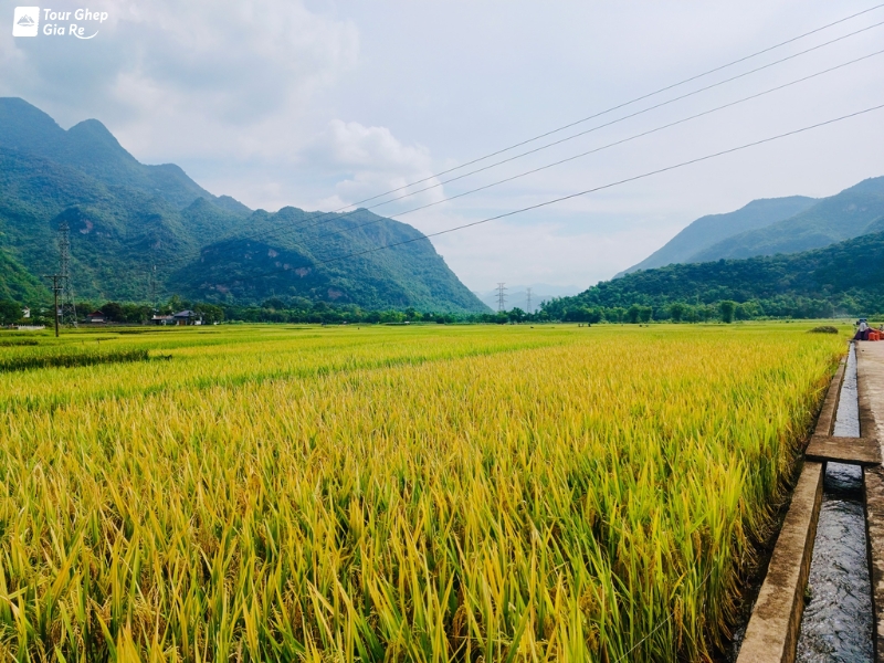 du-lich-mai-chau-tu-tuc-3.jpg (449 KB)