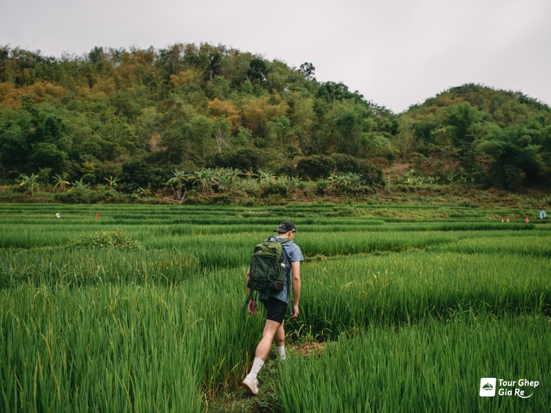 Du lịch Mai Châu tự túc cho người mới: Ăn gì, ở đâu, chơi gì?