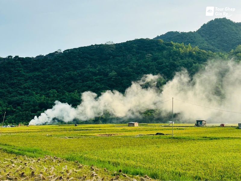 mai-chau-mua-lua-chin-10.jpg (97 KB)