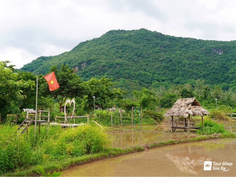 mai-chau-mua-lua-chin-13.jpg (105 KB)